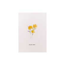 Load image into Gallery viewer, Celtic Herbal x Folded London Welsh Language Greeting Cards - Cariad Mawr