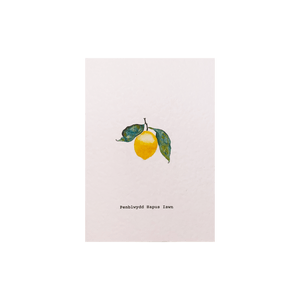 Celtic Herbal x Folded London Welsh Language Greeting Cards - Penblwydd Hapus Iwan